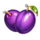 100 art of gold plums symbol icon