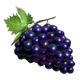 100 burning hot buy bonus grapes symbol icon