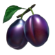 100 burning hot buy bonus purple plums symbol icon