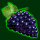 100 burning hot grapes symbol icon