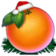 20 christmas fruits orange symbol icon