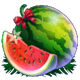 20 christmas fruits watermelon symbol icon