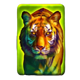 24k gold tiger tiger symbol icon