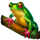 3 gates of pyramid frog symbol icon
