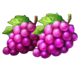 3 royal coins hold and win grapes symbol icon