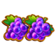 3x5 hold the spin grapes symbol icon