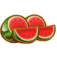 3x5 hold the spin watermelon symbol icon