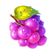 40 splendid sevens grape symbol icon
