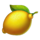 5 boost clover lemon symbol icon
