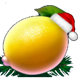 5 christmas fruits lemon symbol icon