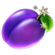 5 christmas fruits plum symbol icon