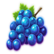7 supernova fruits grapes symbol icon