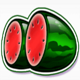 7s on fire watermelons symbol icon