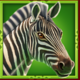 9 rhino fast fire zebra symbol icon
