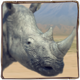 africa goes wild rhino symbol icon