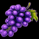 age of the gods mighty midas grapes symbol icon