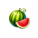 all star win x50 watermelon symbol icon