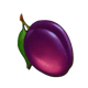 azino fruit machine x25 plum symbol icon