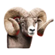 badlands ram symbol icon