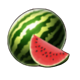 bahamut star 20 lines melon symbol icon