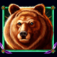 bald eagle bear symbol icon
