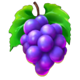 beer mania purple grapes symbol icon