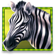 betsoft stampede 4 icon