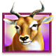 betsoft stampede 6 icon