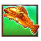 big bass splash fish 1 symbol icon