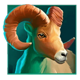 big wild buffalo goat symbol icon