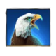 bison moon megaways eagle symbol icon