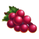 blazing coins hold and win grapes symbol icon