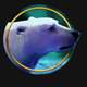 bloxx arctic bear symbol icon