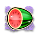 bloxx fruit melon symbol icon
