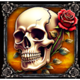 book of lilith skull rose symbol icon