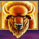 buffalo blitz buffalo symbol icon