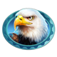 buffalo coin rush eagle symbol icon