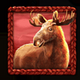 buffalo king untamed megaways elk symbol icon