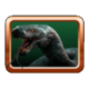 buffalo splash black mamba symbol icon