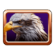 buffalo splash eagle head symbol icon