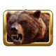 buffalo splash grizzly bear symbol icon