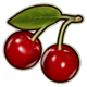 burning flower cherries symbol icon