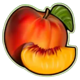 burning flower peach symbol icon