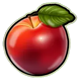 burning flower red apple symbol icon