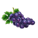 bursting crowns 5 grape symbol icon