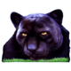cash cats black panther symbol icon