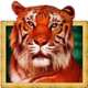 cash cats tiger symbol icon