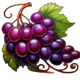 celtic princess grape bunch symbol icon