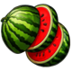 celtic princess sliced watermelon symbol icon