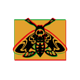 chaos crew butterfly symbol icon